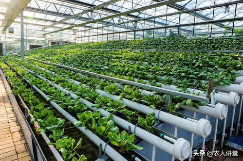 微生物肥料的5個常見坑人路數，千萬別踩空——生物質能技術服務指南