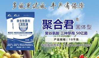 5個層面近30個標準，助推微生物肥料產業(yè)快速發(fā)展