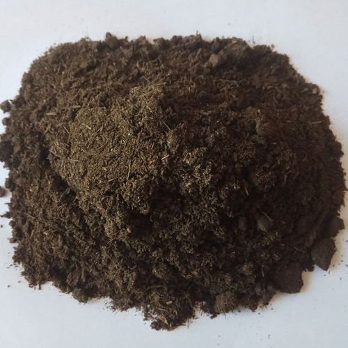 葡萄施發(fā)酵牛糞有機肥的合理應用與生物有機肥料研發(fā)