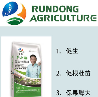 有機肥與生物質能技術服務 推動綠色農業(yè)與可持續(xù)發(fā)展