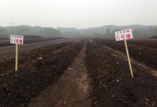 微生物肥料 綠色農業的新引擎，生物質能技術服務的市場價值
