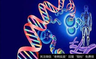 基因檢測(cè)概念股受關(guān)注，第二批示范中心方案獲發(fā)改委批復(fù)