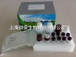 安捷倫氣相色譜 生物科技研發(fā)中的精密儀器選擇與采購(gòu)指南